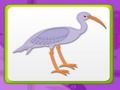 Jeu Mémoire d'enfants avec des oiseaux  en ligne