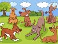 Jeu Différences avec les animaux  en ligne