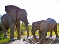 Jeu Puzzle éléphants  en ligne