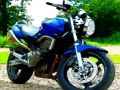 Jeu Scie sauteuse pour motos lourdes  en ligne