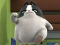 Jeu Puzzles d'agent Binky Pets of the Universe  en ligne