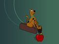 Jeu Scooby doo doo dash  en ligne