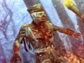 Jeu Héros du chasseur de zombies en ligne
