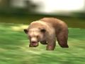 Jeu Chasseur d'animaux safari en ligne Jeu Chasseur d'animaux safari en ligne