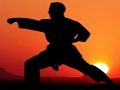 Jeu Karaté Sunset Warriors en ligne