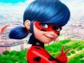 Jeu Collection de casse-tête LadyBug  en ligne