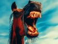 Jeu Animaux souriants drôles  en ligne
