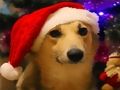 Jeu Chiens de Noël drôles  en ligne