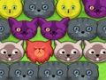 Jeu Chatons pop-pop  en ligne