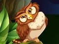 Jeu Tireur de hibou  en ligne
