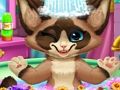 Jeu Bain de chaton  en ligne