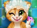 Jeu Bain chaton rouillé  en ligne