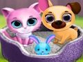 Jeu Amis animaux mignons  en ligne