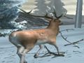 Jeu Chasseur de forêt  en ligne