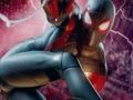 Jeu Tireur de Spider Man  en ligne