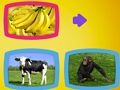 Jeu Que mangent les animaux? en ligne Jeu Que mangent les animaux? en ligne