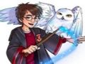 Jeu Collection de puzzles Harry Potter  en ligne