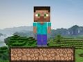 Jeu Survie Minecraft  en ligne