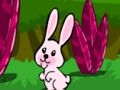 Jeu Évasion de lapin sautant  en ligne