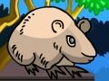 Jeu Évasion du pays des rats  en ligne