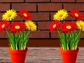 Jeu Évasion de la maison des fleurs  en ligne