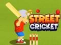 Jeu Cricket de rue  en ligne