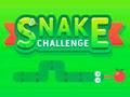 Jeu Défi serpent  en ligne