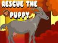 Jeu Sauver le chiot  en ligne