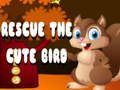 Jeu Sauvez l'oiseau mignon  en ligne