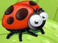 Jeu Glissière coccinelle  en ligne