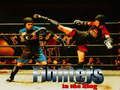 Jeu Combattants sur le ring  en ligne