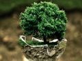Jeu Puzzle de l'environnement  en ligne