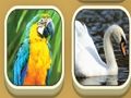 Jeu Match Zoo en ligne