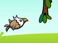 Jeu Aigle fou !  en ligne