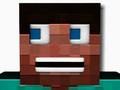 Jeu Block Craft Survie  en ligne