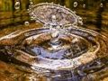 Jeu Scie sauteuse aux éclaboussures d'eau  en ligne