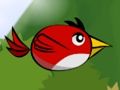 Jeu Battez l'oiseau  en ligne