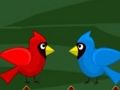 Jeu Évasion Toco Toucan  en ligne