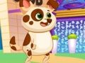 Jeu Beau chien virtuel en ligne Jeu Beau chien virtuel en ligne