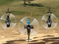 Jeu Faucon du désert  en ligne