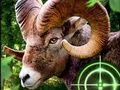 Jeu Chasseur de chèvre fou 2020  en ligne