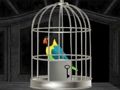 Jeu Évasion des perroquets  en ligne
