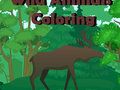Jeu Coloriage Animaux Sauvages  en ligne