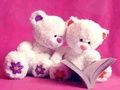 Jeu Glissière mignonne d'ours de nounours  en ligne