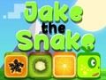 Jeu Jake le serpent  en ligne