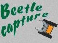 Jeu Capture de scarabée  en ligne