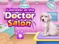 Jeu Labrador au salon du médecin  en ligne