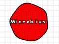 Jeu Microbe  en ligne