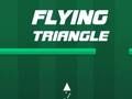 Jeu Triangle volant  en ligne