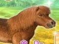 Jeu Mon cher poney  en ligne